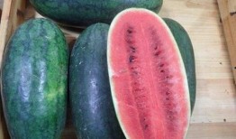 网红吃瓜黑科爆料是真的吗