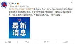 最新黑匣子爆料新闻报道,最新爆料揭示惊天秘密！”