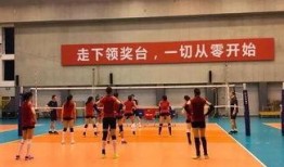 集训爆料女排视频大全最新,最新视频大全精彩瞬间回顾