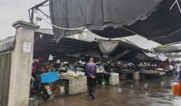 岑前村拆迁爆料新闻视频,揭秘背后真相与居民心声”